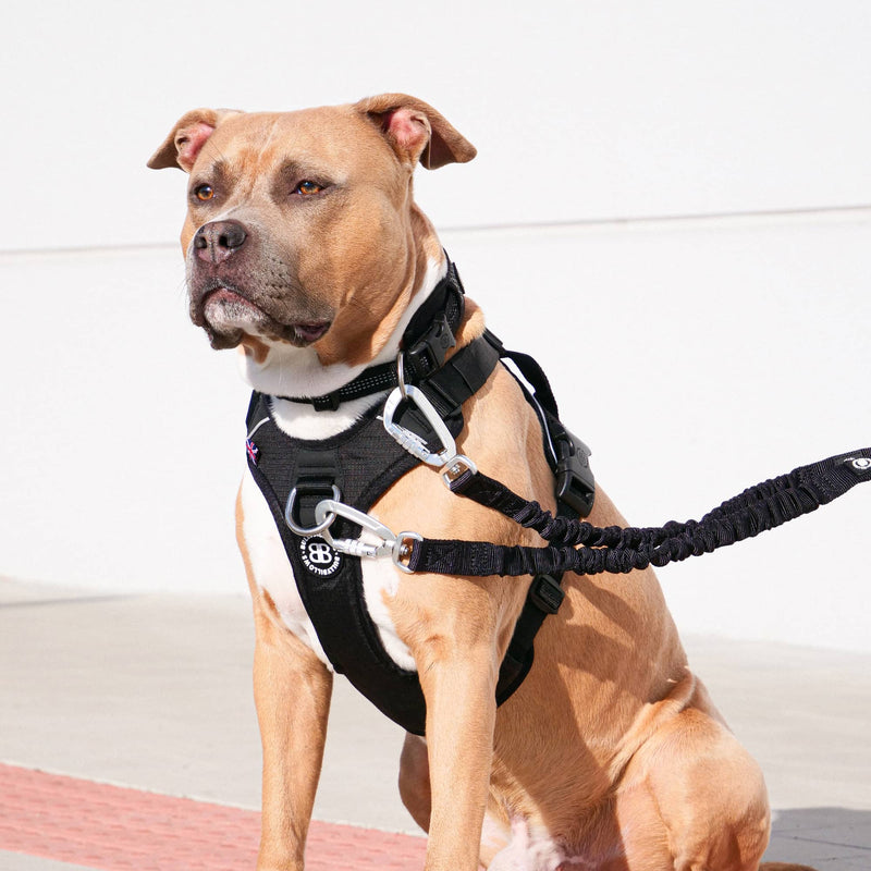 Anti Pull Harness | With Handle & Lighter | Hurricane Harness - Pink