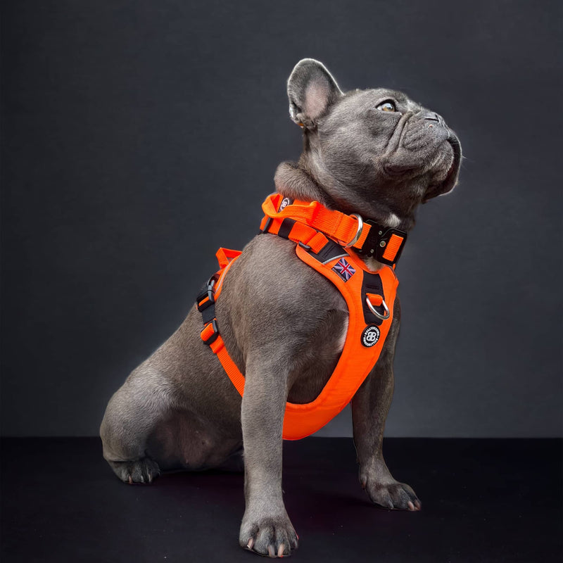 Anti Pull Harness | With Handle & Lighter | Hurricane Harness - Grey